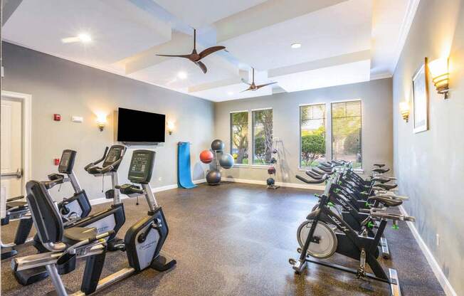 Brandon Fitness Center equipment at The Oasis at Brandon, Riverview, FL, 33578