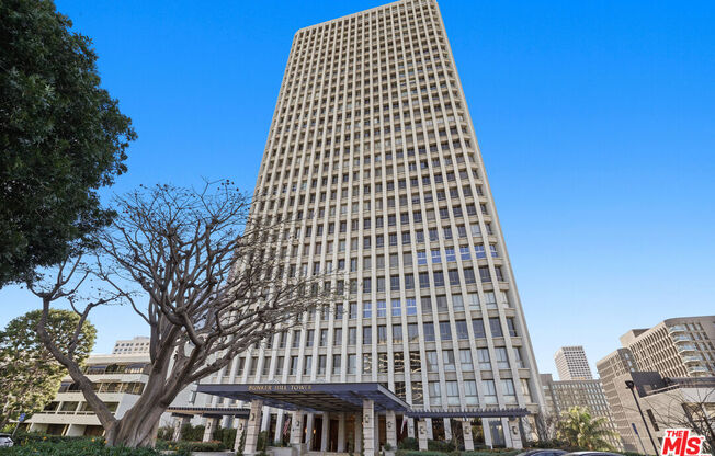 Studio, 1 bath, 481 sqft, $2,250, Unit 1409
