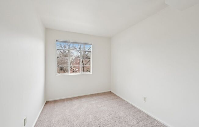 2 beds, 1 bath, 610 sqft, $850, Unit 195-03