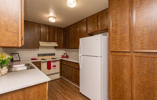 San Carlos Village Apts.