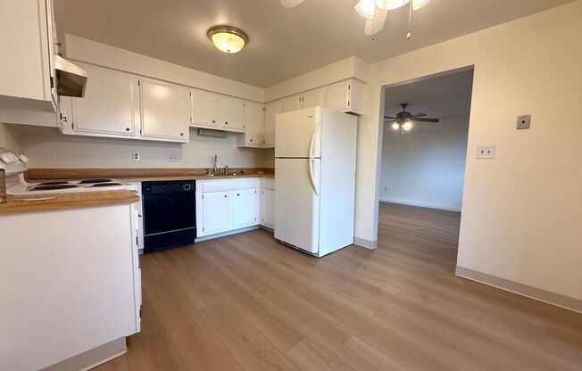 Simms Street 6155