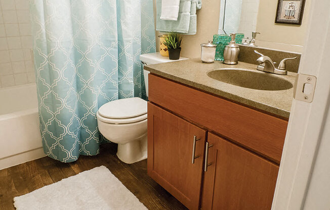 Luxurious Bathroom at Timberglen Apartments, Texas, 75287