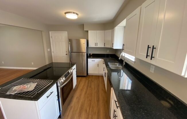 Freshly Renovated 4 Bedroom, 3 Bathroom in the heart of Chattanooga!