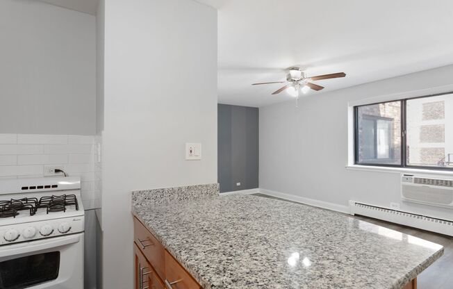 Studio, 1 bath, 336 sqft, $1,475, Unit 305