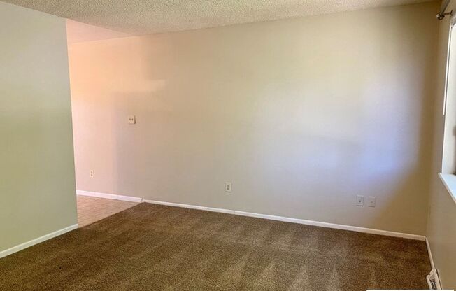 Incredible House and Yard!