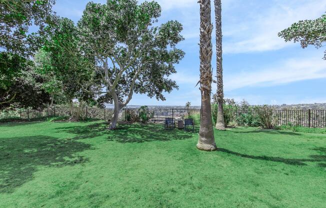 a tree in the middle of a lush green field