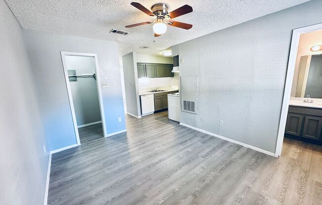 Studio, 1 bath, 500 sqft, $795, Unit 103