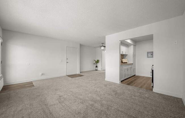 A spacious room with a grey carpet and white walls.