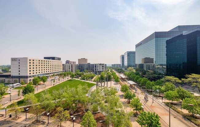 a park in the middle of a city with tall buildings