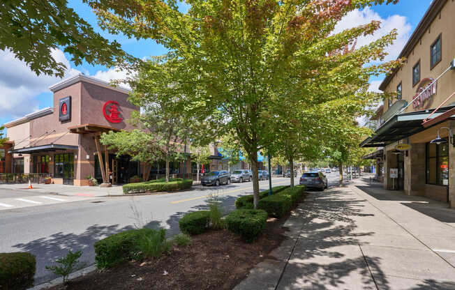 Walkable tree-lined streets