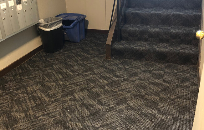 Studio, 1 bath, 494 sqft, $988, Unit 99-200