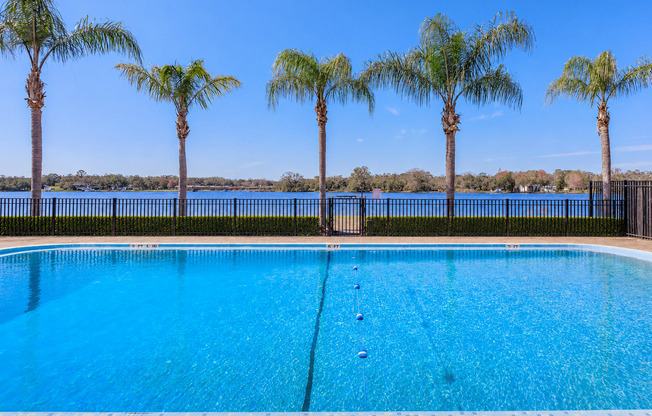 A clear blue swimming pool surrounded by palm trees, with a lake visible in the background. The sky is bright blue with a few clouds, and the area is enclosed by a black fence. The scene evokes a serene and tranquil environment ideal for relaxation.