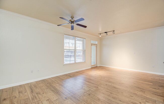 1 bed, 1 bath, $1,700