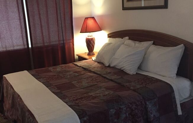 1 bed, 1 bath, 650 sqft, $900, Unit 100