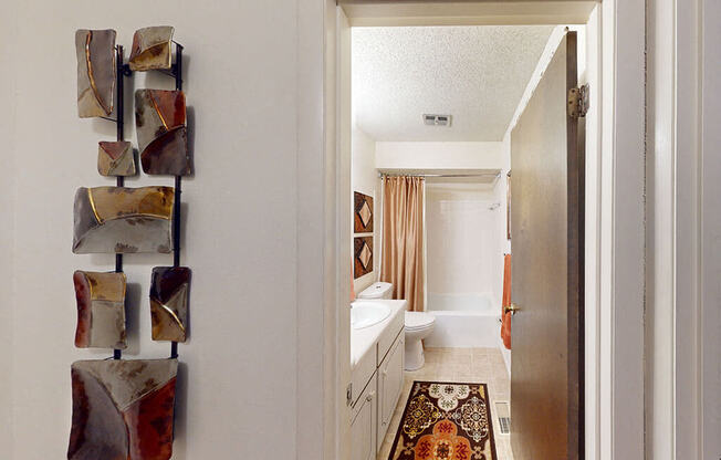 a bathroom with a sink and a toilet and a rug