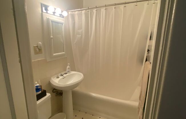 Studio, 1 bath, 520 sqft, $1,495, Unit 204