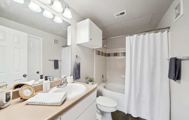 a bathroom with a sink and a toilet and a shower