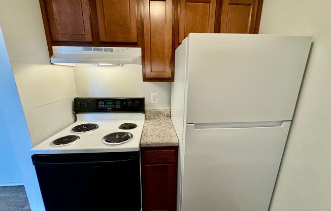 1 bed, 1 bath, 700 sqft, $1,095, Unit #310