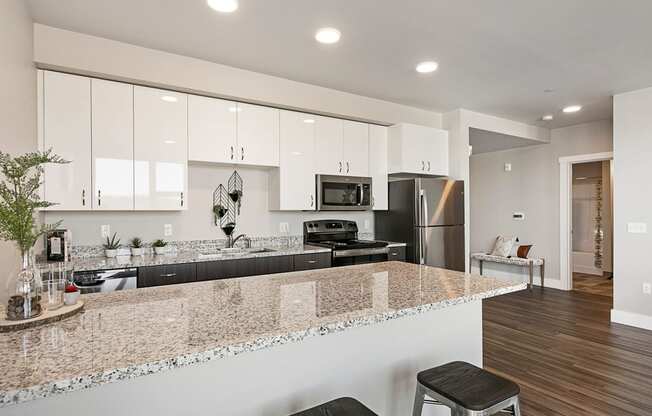 TheNest_Bend_OR_Interior_Model_203_Kitchen