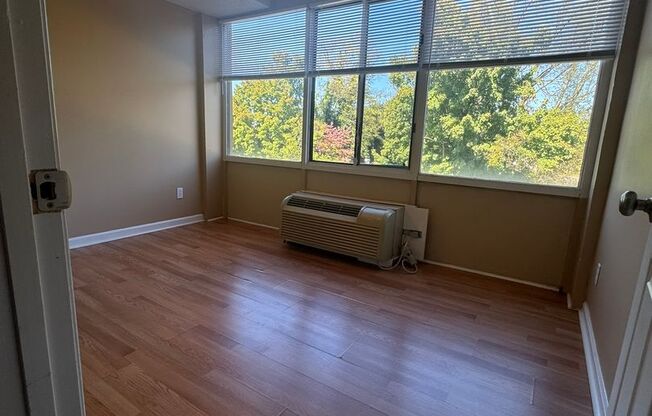 1 bed, 1 bath, $1,125