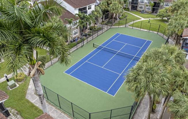 a blue tennis court surrounded by palm trees