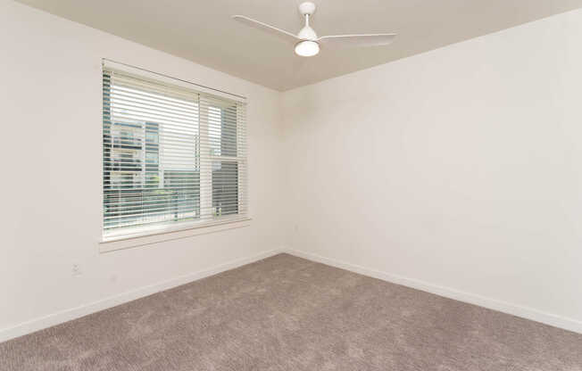 Carpeted Bedroom