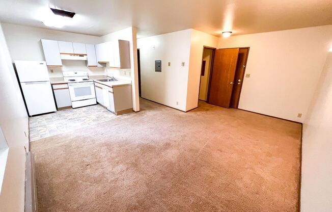 1 bed, 1 bath, 586 sqft, $1,495, Unit 216