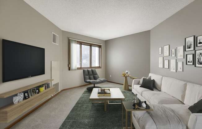 Living Room With TV at MacLaren Hill, St. Paul, MN