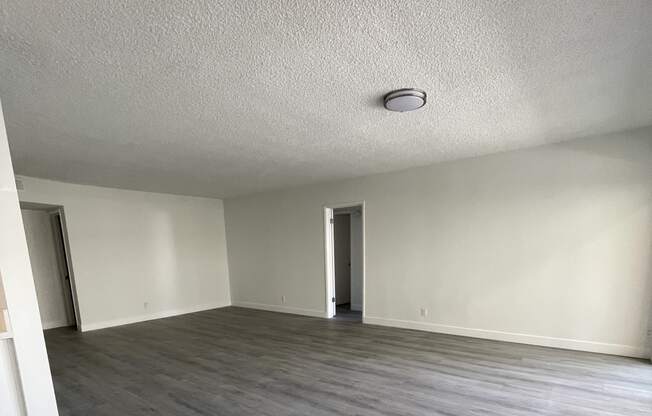 Large Room with Hard Flooring