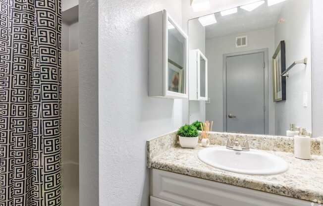 a bathroom with a sink and a mirror and a shower