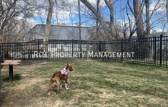 Partner-provided property photo