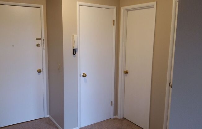1 bed, 1 bath, 579 sqft, $1,750, Unit 11