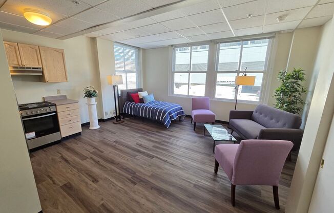 Studio, 1 bath, 370 sqft, $1,390, Unit 802