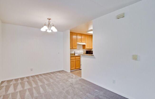 1 bed, 1 bath, $2,800