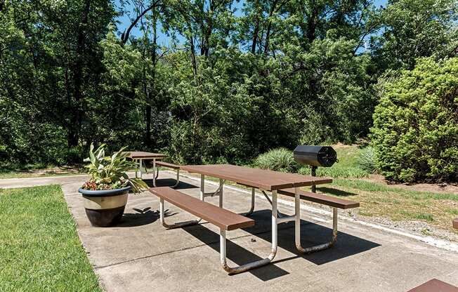 Outdoor picnic and grilling area