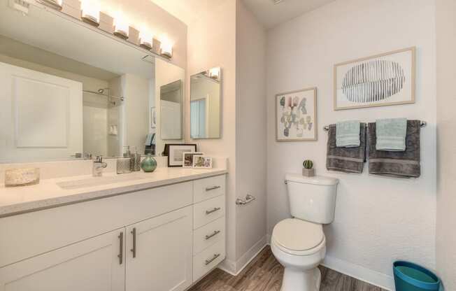 Bedroom with Hardwood Inspired Floor, Toilet, Vanity and White Cabinets