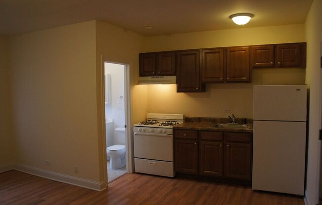 Studio, 1 bath, 342 sqft, $1,295, Unit 105