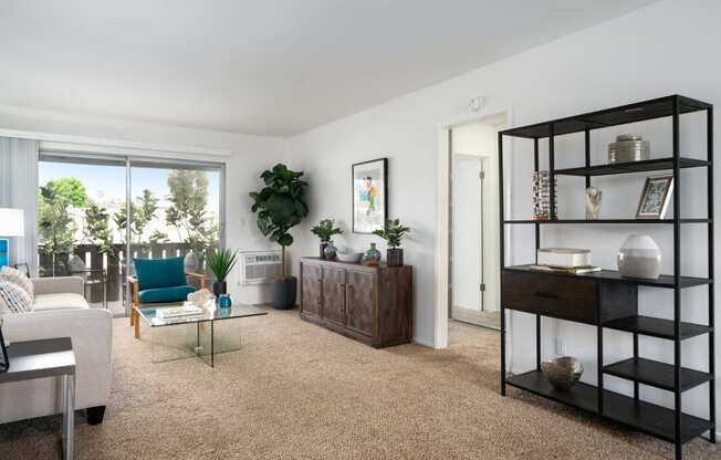 a living room with white walls and a brown carpet