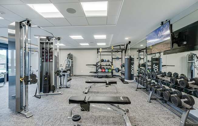 Expansive Free Weights Section of Fitness Center