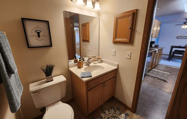 A bathroom with a toilet, sink, mirror, and a rug.