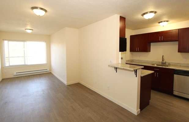 Top-Floor 2-Bed, 1-Bath Luxury Apartment in Magnolia/Interbay | Private Balcony, In-Unit W/D, Modern Finishes & Scenic Views