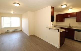 Top-Floor 2-Bed, 1-Bath Luxury Apartment in Magnolia/Interbay | Private Balcony, In-Unit W/D, Modern Finishes & Scenic Views