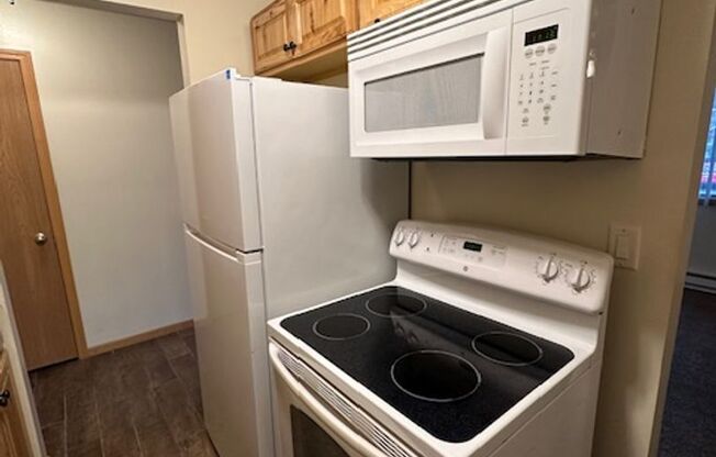 1 bed, 1 bath, 550 sqft, $895, Unit 920-06