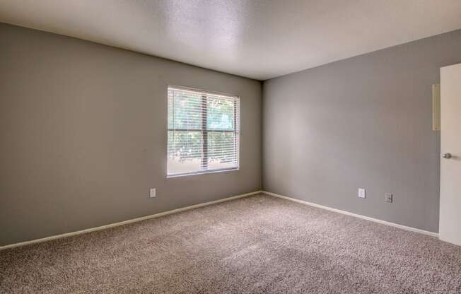 an empty room with carpet and a window