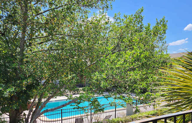 A pool surrounded by trees and a building.