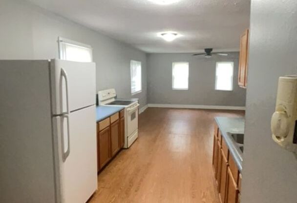 111 S Dicks St. (Wynn Funds, LLC)