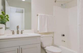 a bathroom with a toilet and a sink and a mirror