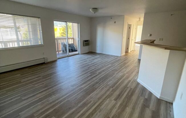 Beautiful Apartment in New Castle