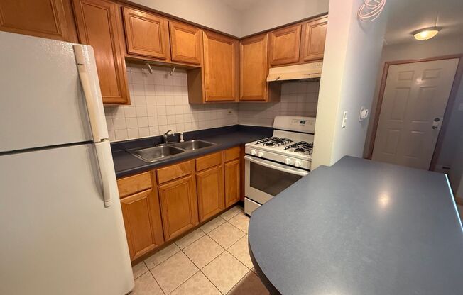 Well Maintained 1 Bedroom/1 Bath Unit Great Location Close to Ohare