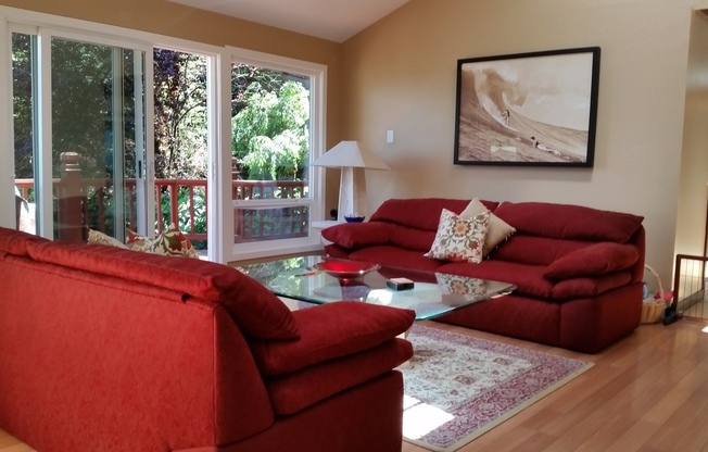 GEM in Somerset Bellevue, 4 beds/3 Baths with daylight basement with beautiful view
